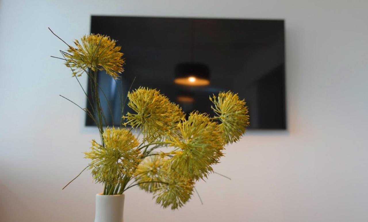Apartment Flora Pula Zewnętrze zdjęcie